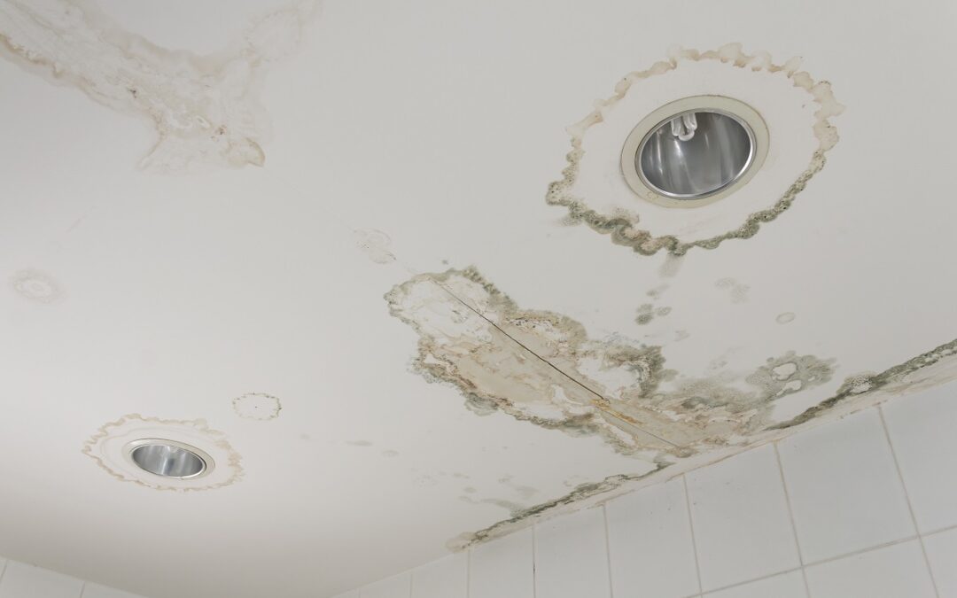 Ceiling Water Damage: Learn the Signs and Find the Solutions